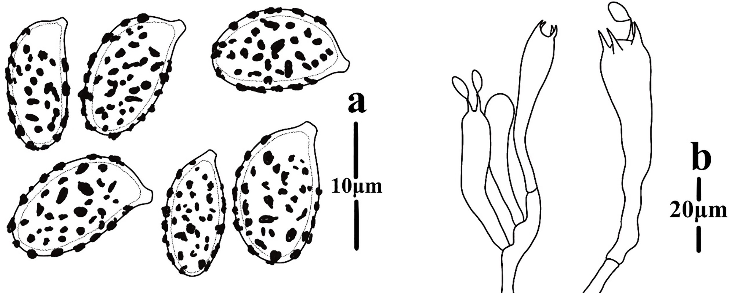 Figure 74